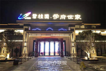 城南万成尚景，房东自住装修，诚心出售，户型通透，送个车库